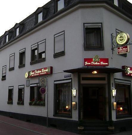 Hotel Zum Dicken Baum Mayen Kültér fotó